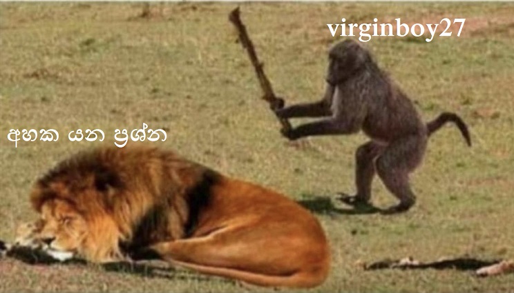 Ec4aQT1X0AA7kty.jpg