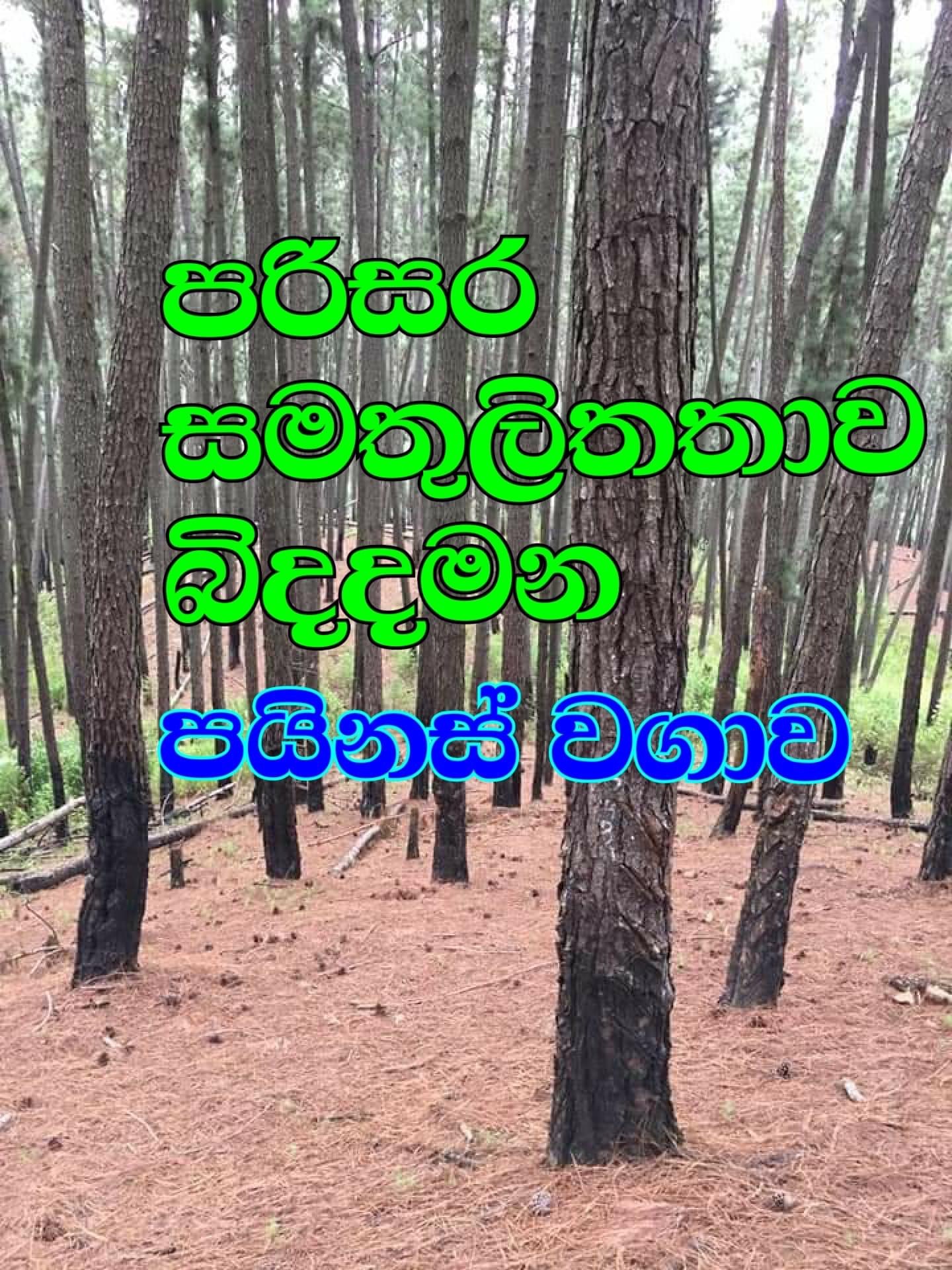 ED00F816-FDE4-4BD4-BFD3-F62EB758185A.jpeg