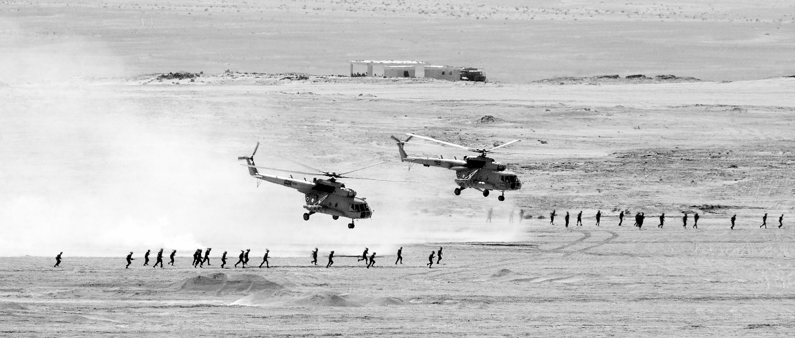 Egyptian_Mi-8_Hip_helicopters_after_unloading_troops.jpg