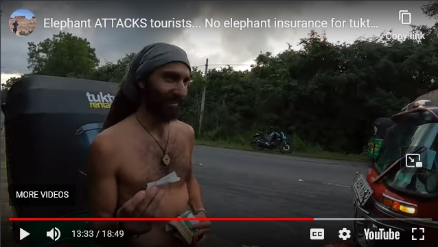 elephatn.jpg