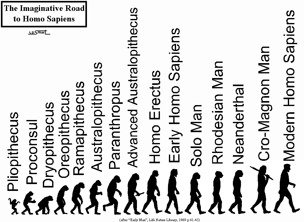 Evolution Timeline.gif