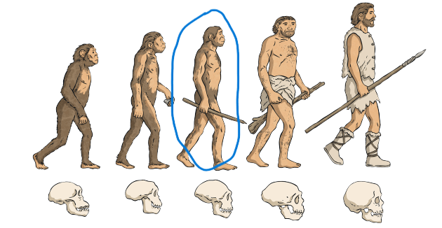 evolution-wiki_ver_1.png