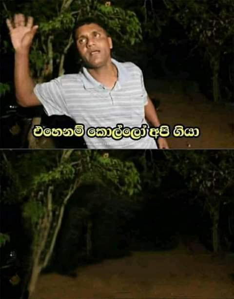 eX8TKv5.jpg