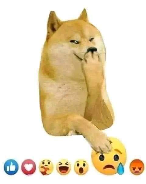 f.jpg
