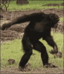 F161953B-00D0-4305-BB31-9BB3BF22A9A5.gif