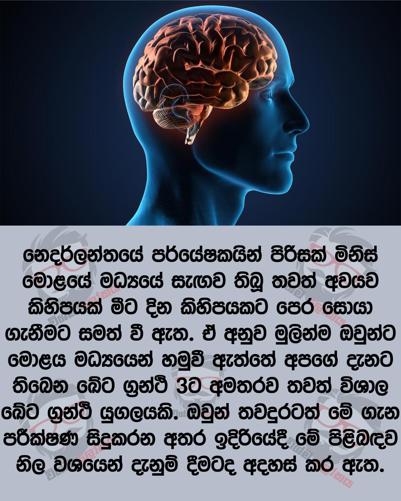 FA155449-3F6F-4C49-AF3C-DB9A18CCA11A.jpeg