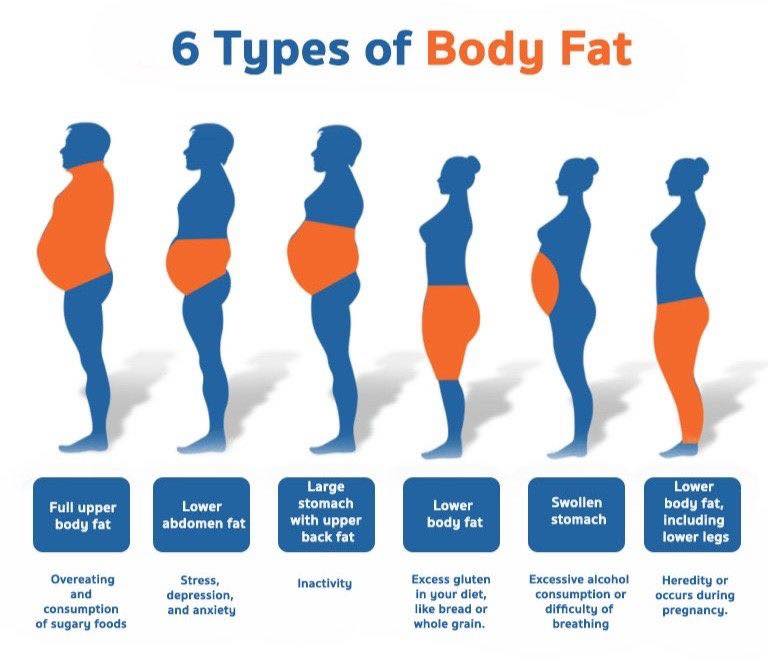 fat.jpg