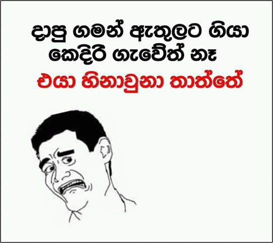 FB_IMG_14812831035334899.jpg