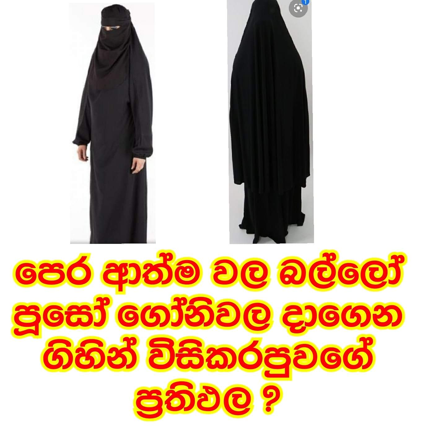 FB_IMG_1571379268548.jpg