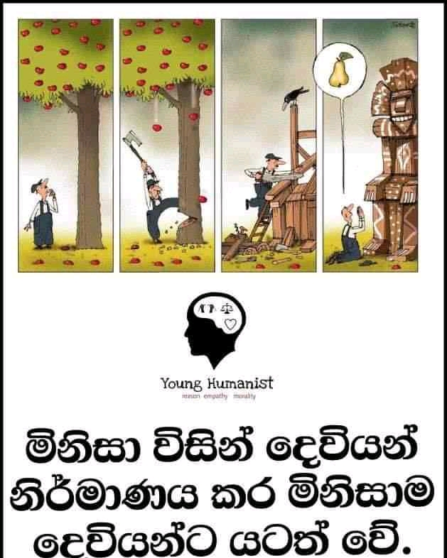 FB_IMG_15875529234990909.jpg