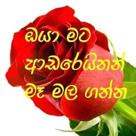FB_IMG_1591606593021.jpg