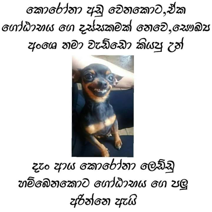 FB_IMG_1594506915352.jpg