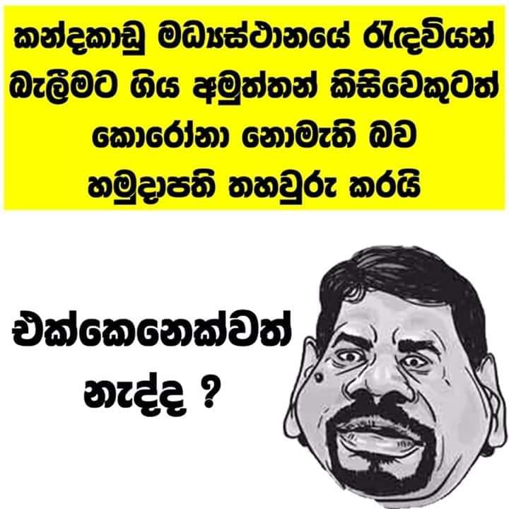 FB_IMG_1594994417924.jpg