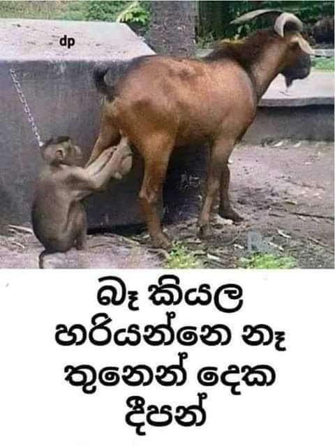 FB_IMG_1596531748995.jpg