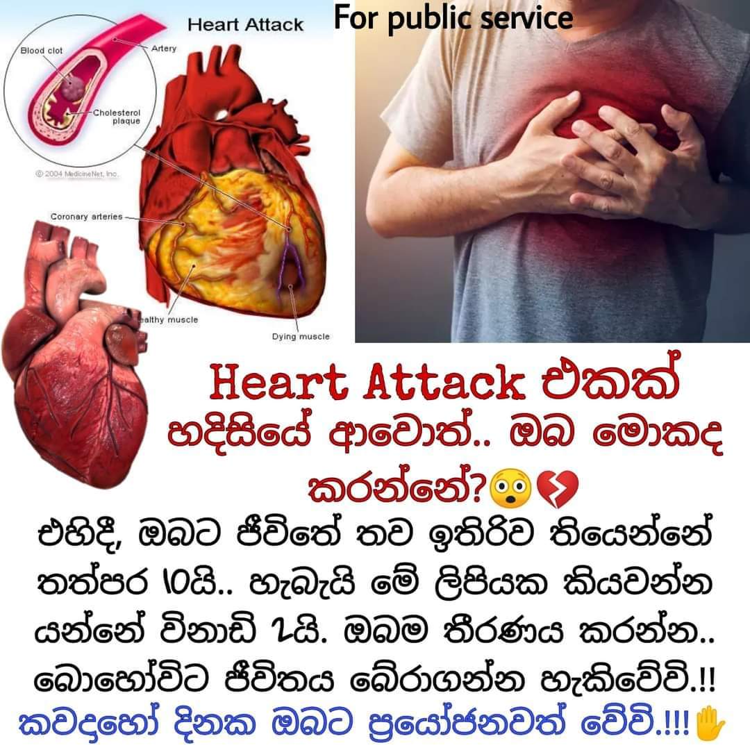 FB_IMG_1597456453383.jpg