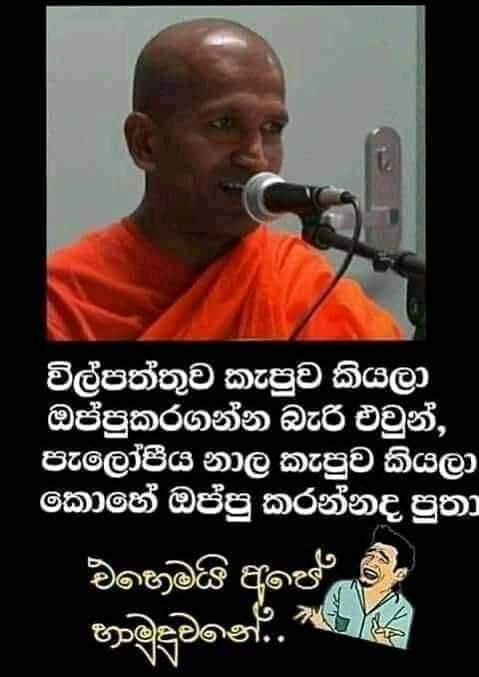 FB_IMG_1602432718010.jpg