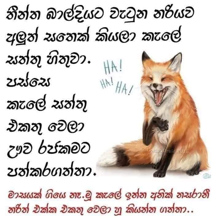 FB_IMG_1602664261854.jpg