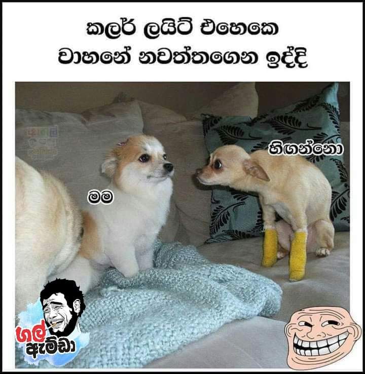 FB_IMG_1603626804060.jpg
