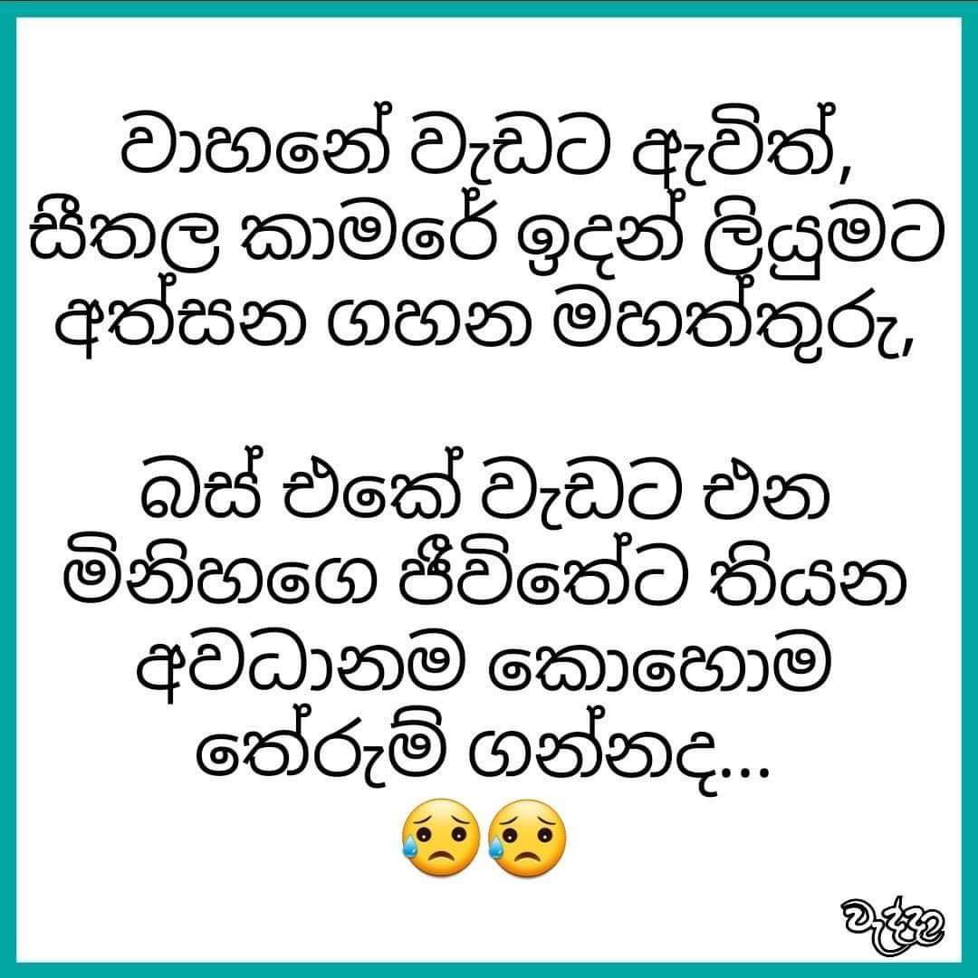 FB_IMG_1604551306242.jpg