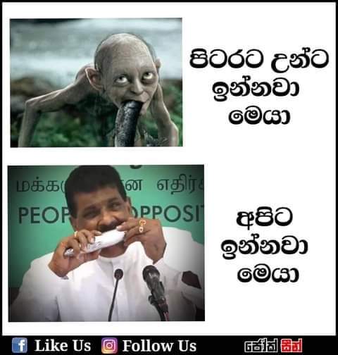 FB_IMG_1605614349844.jpg