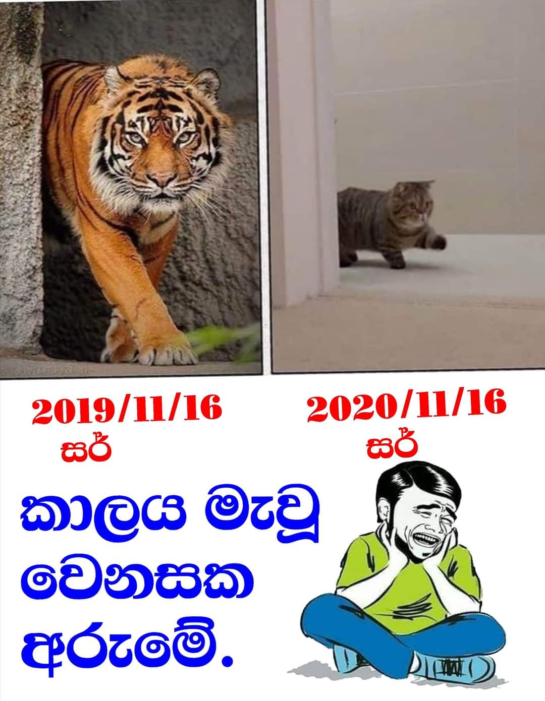 FB_IMG_1605705508872.jpg