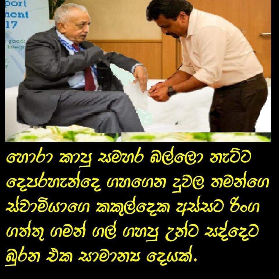 FB_IMG_1606207413197.jpg