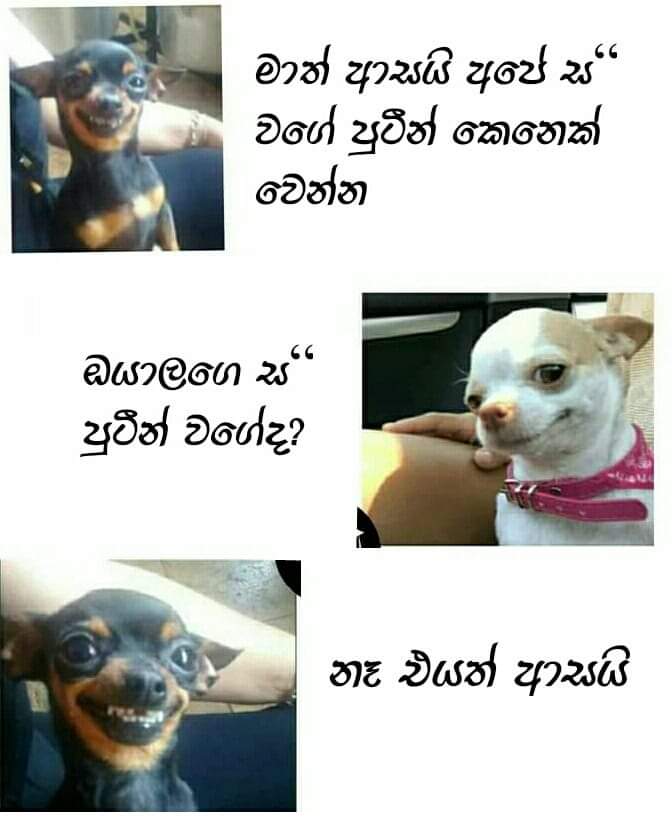 FB_IMG_1606229103310.jpg