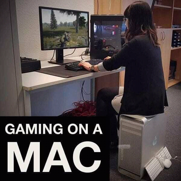 FB_IMG_16081046528002148.jpg