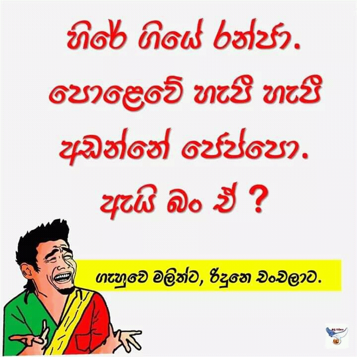 FB_IMG_16105585432395488.jpg