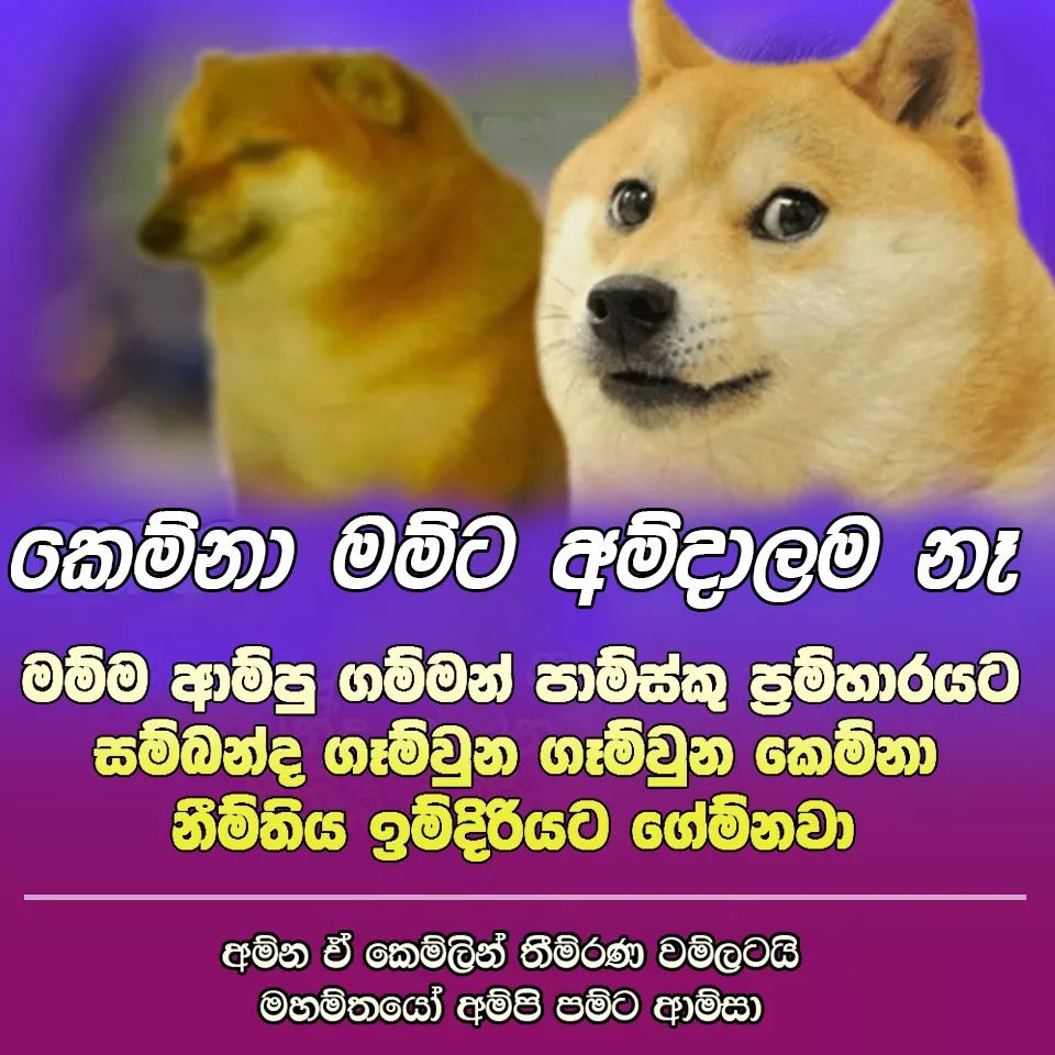 FB_IMG_1613807581651.jpg