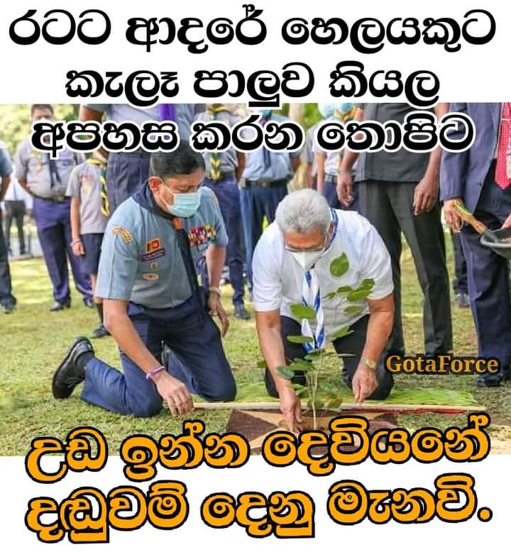 FB_IMG_1615990246369.jpg