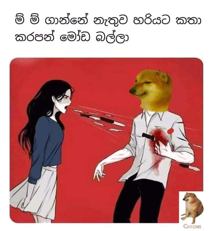 FB_IMG_1616358726367.jpg
