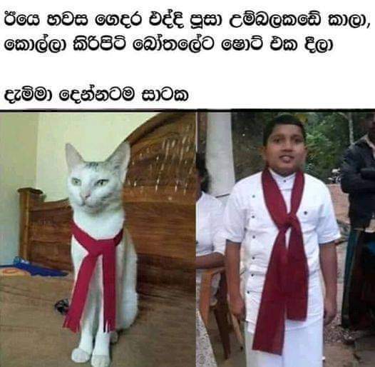 FB_IMG_1618275470701.jpg