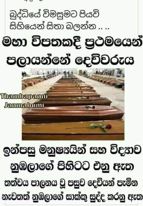 FB_IMG_1619486525306.jpg