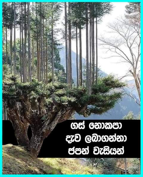 FB_IMG_1621060681413.jpg