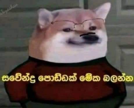 FB_IMG_1622290235836.jpg