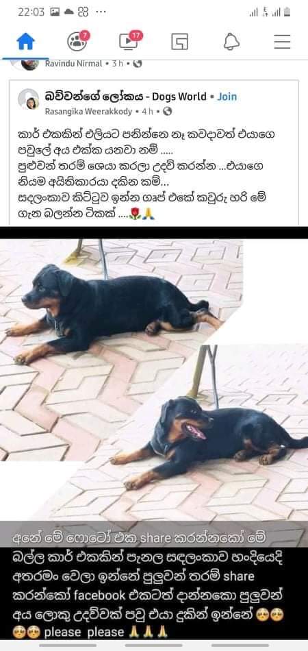 FB_IMG_1622560784269.jpg