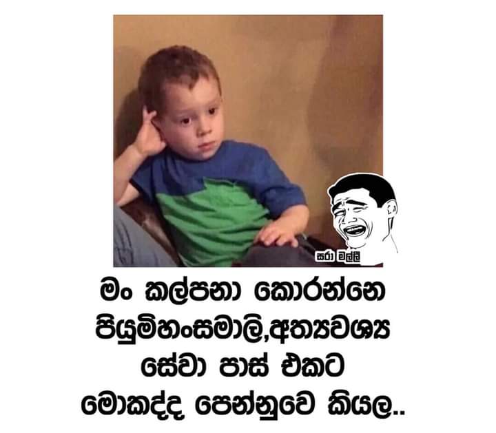 FB_IMG_1622602583700.jpg
