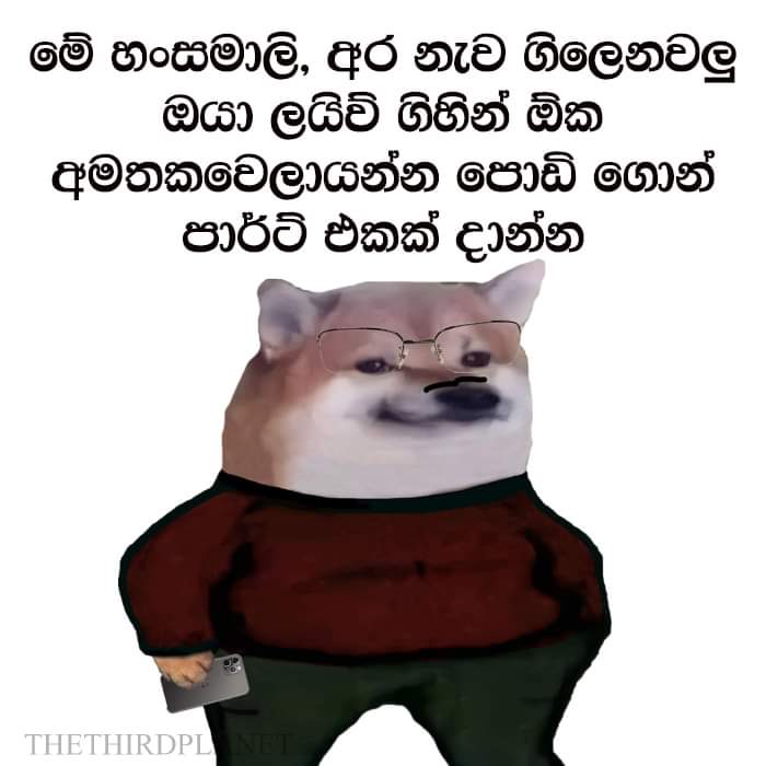 FB_IMG_1622672383337.jpg