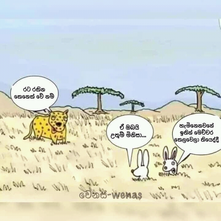 FB_IMG_16239931745587456.jpg