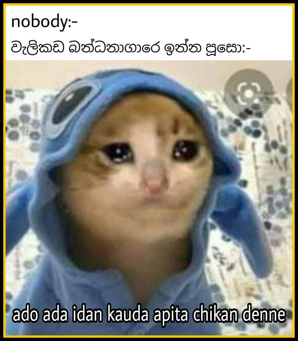 FB_IMG_1624524659931.jpg