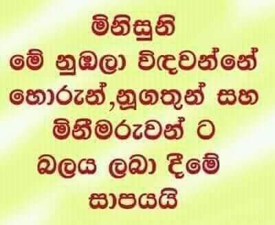 FB_IMG_1626580979747.jpg