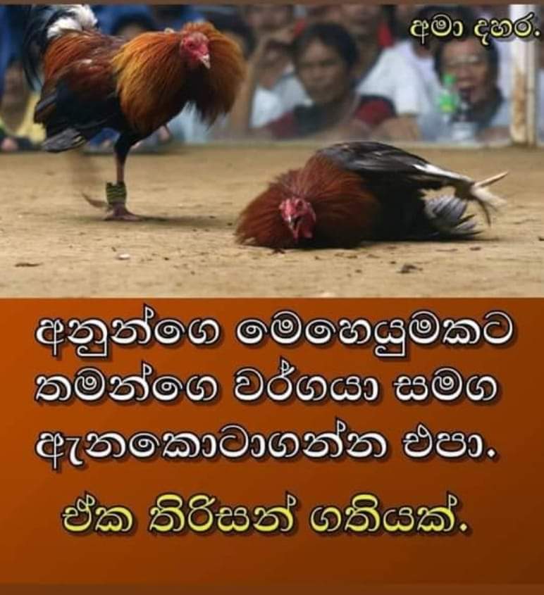 FB_IMG_1628531537303.jpg