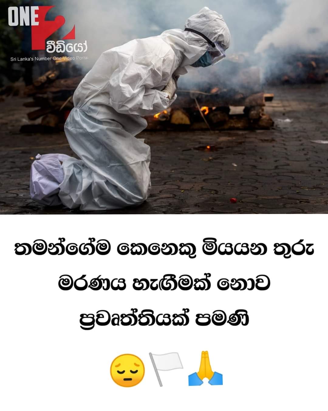 FB_IMG_1628696938670.jpg