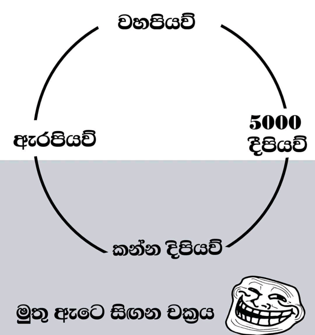 FB_IMG_16289227408019833.jpg