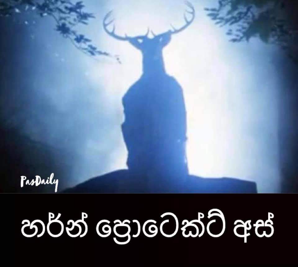 FB_IMG_1629006341855.jpg