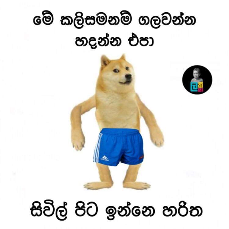 FB_IMG_1631263049022.jpg