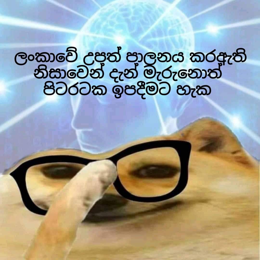 FB_IMG_1631360697130.jpg