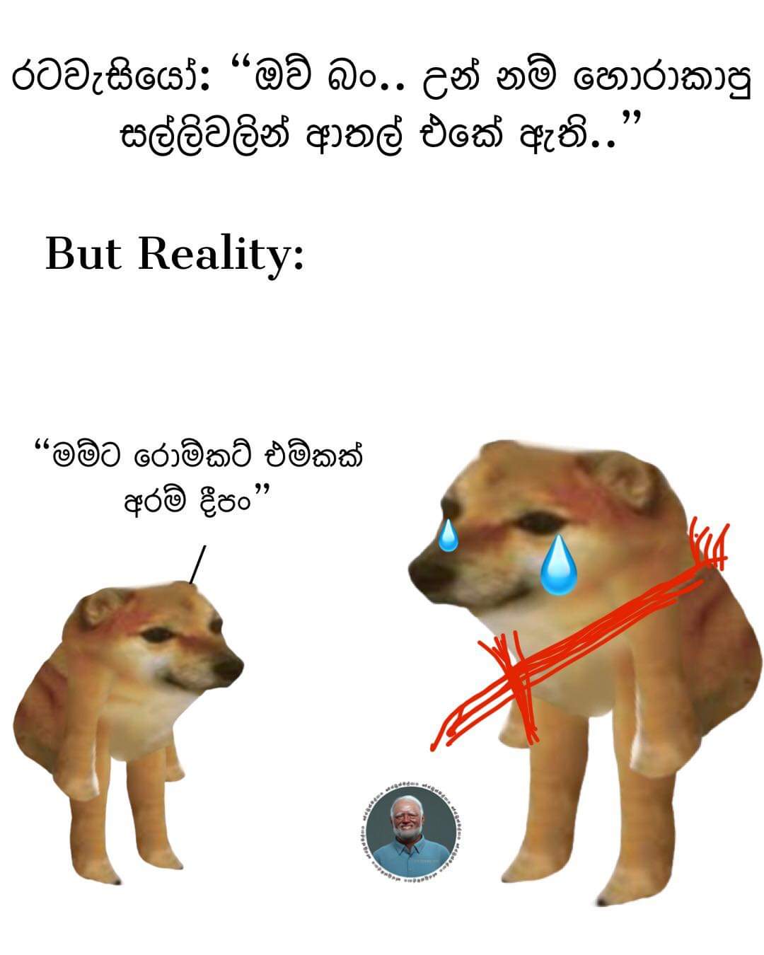 FB_IMG_1634129135358.jpg