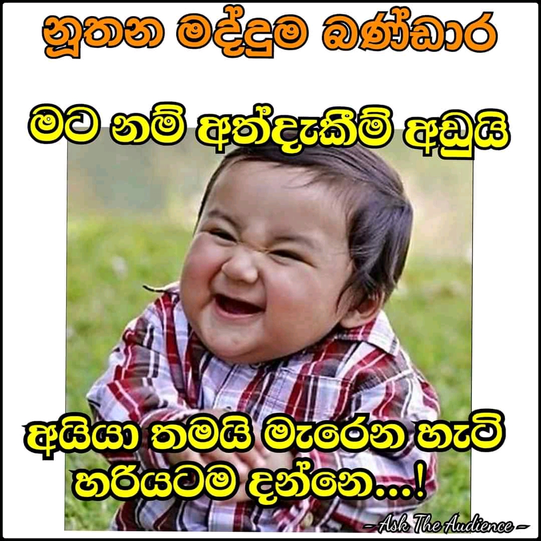 FB_IMG_16347108059229947.jpg